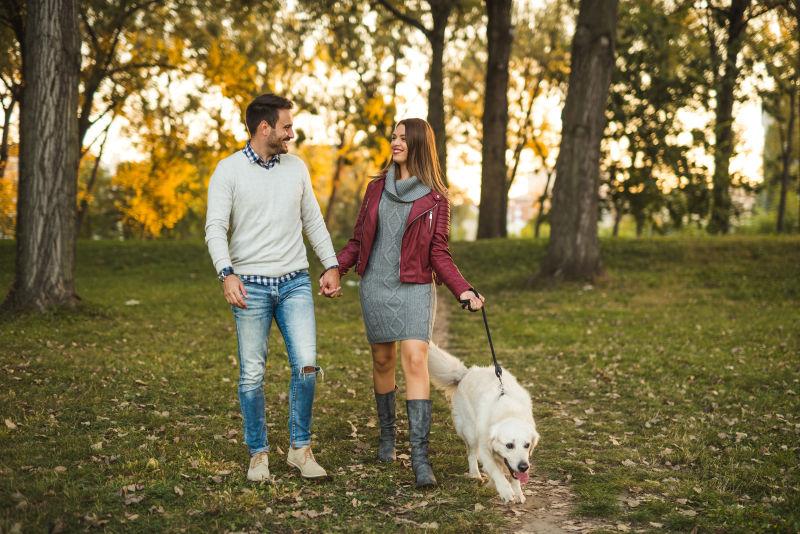 快乐的夫妇在公园里牵手和狗散步
