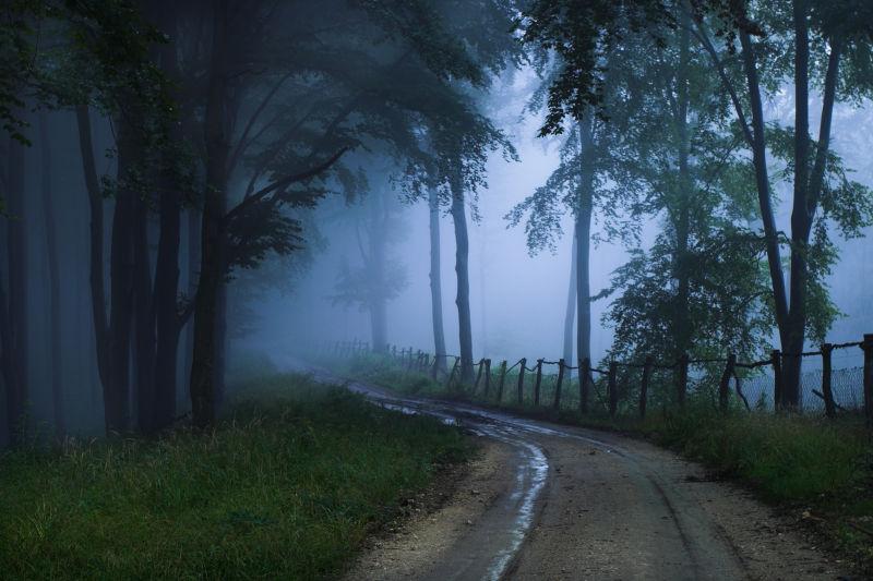 树林里的小路和雾气