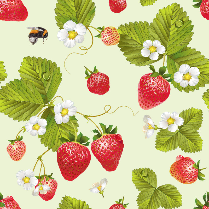 色泽鲜艳的草莓矢量背景