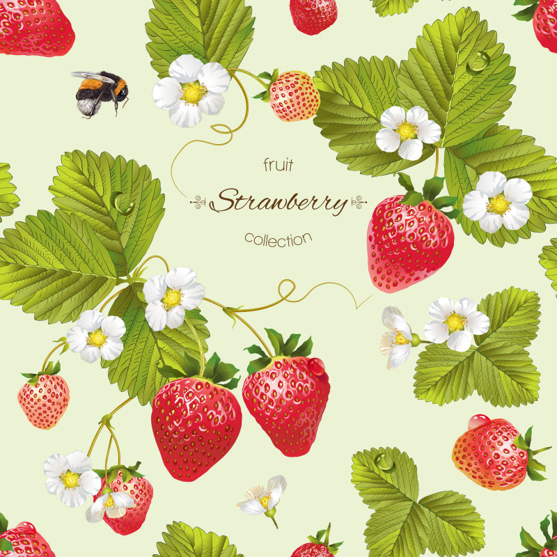 矢量的新鲜草莓海报背景