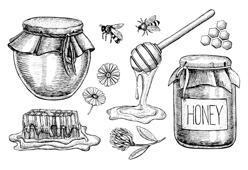 复古手绘矢量蜂蜜插图