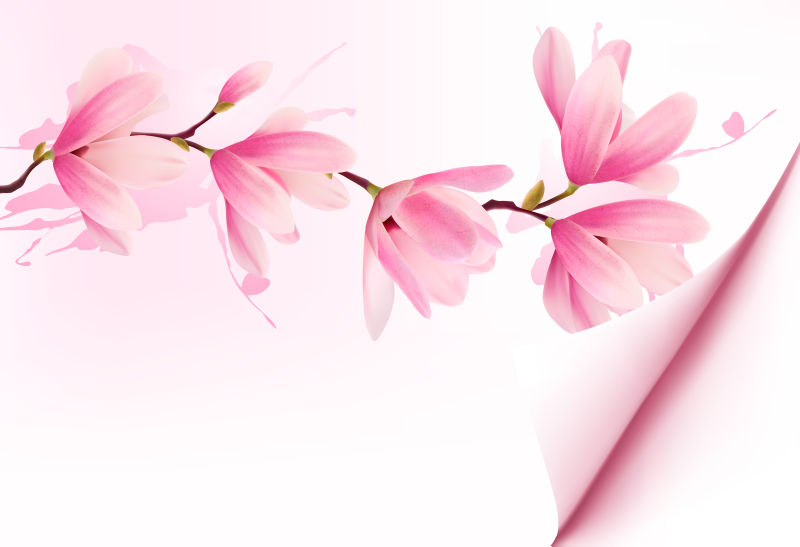 粉色的矢量花卉背景