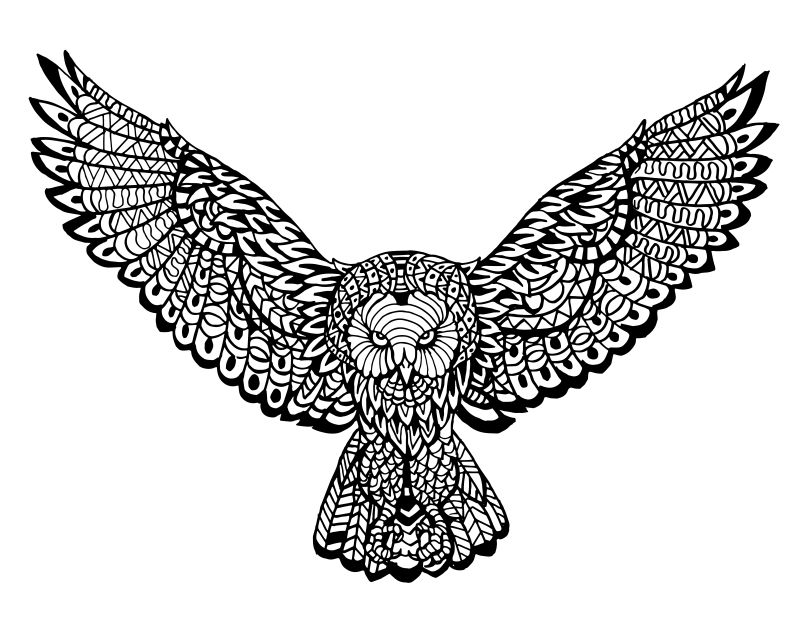 矢量展翅的猫头鹰传统图腾涂鸦设计