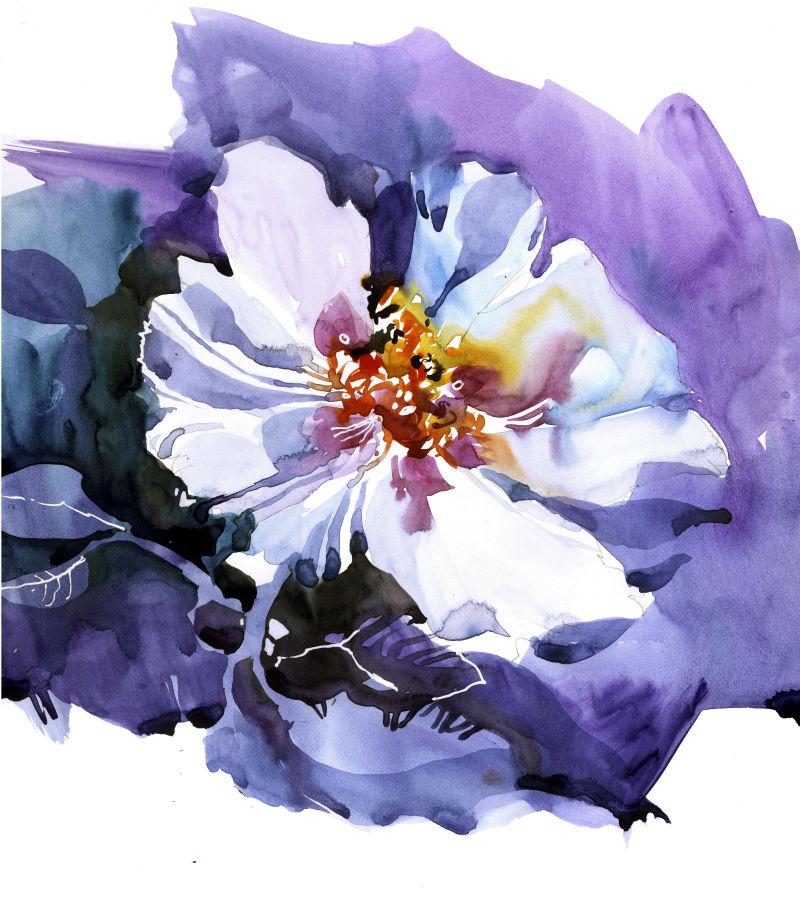 白色背景下的紫色白花手绘画