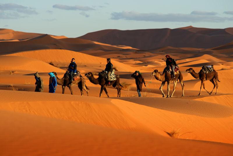骆驼车队
