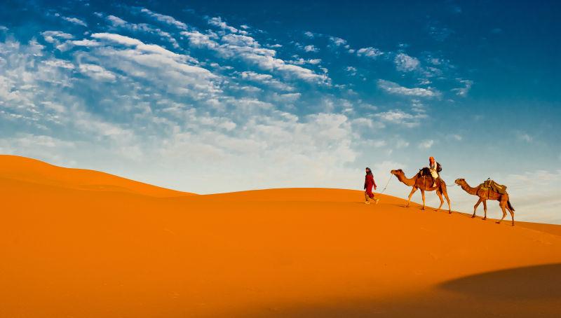 撒哈拉沙上的骆驼商队