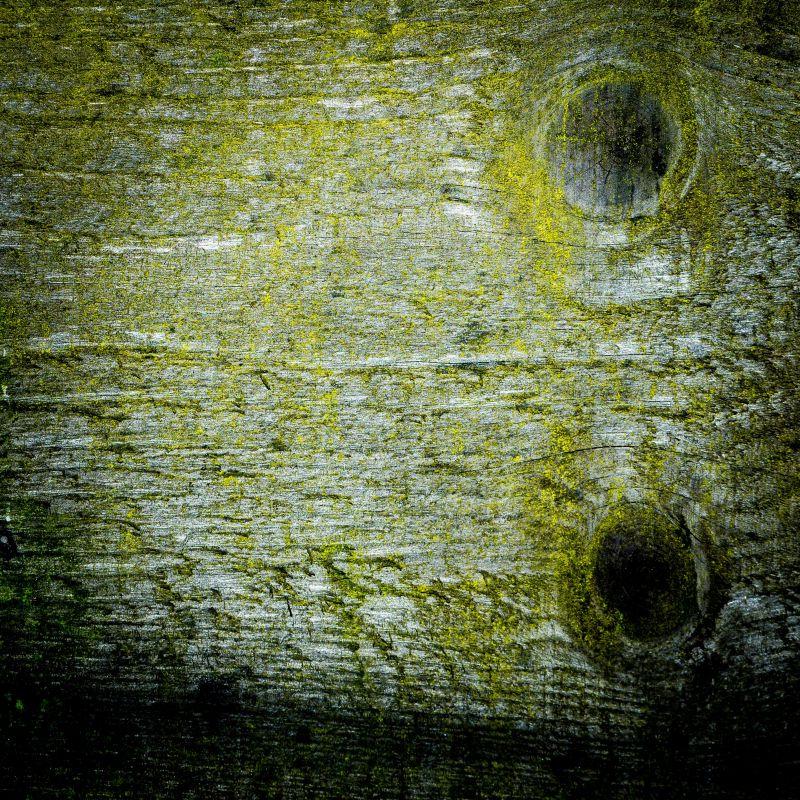 长着苔藓的绿色木板纹理