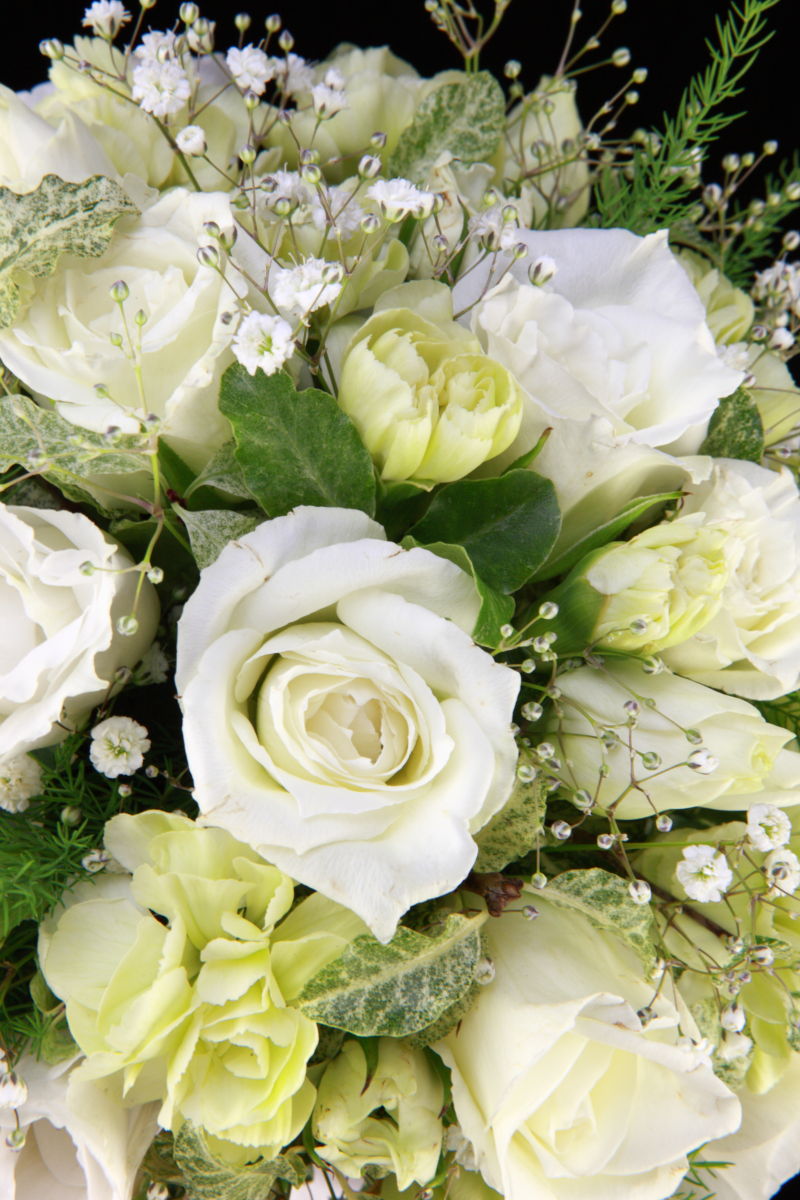 美丽的白色玫瑰花束