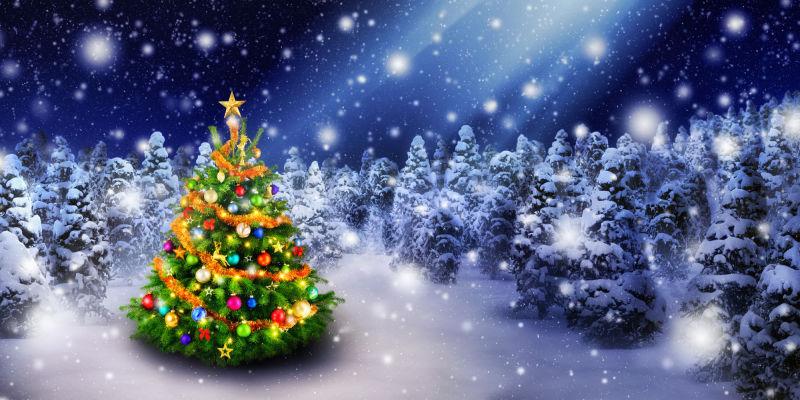 绚丽多彩的圣诞树在冬季里