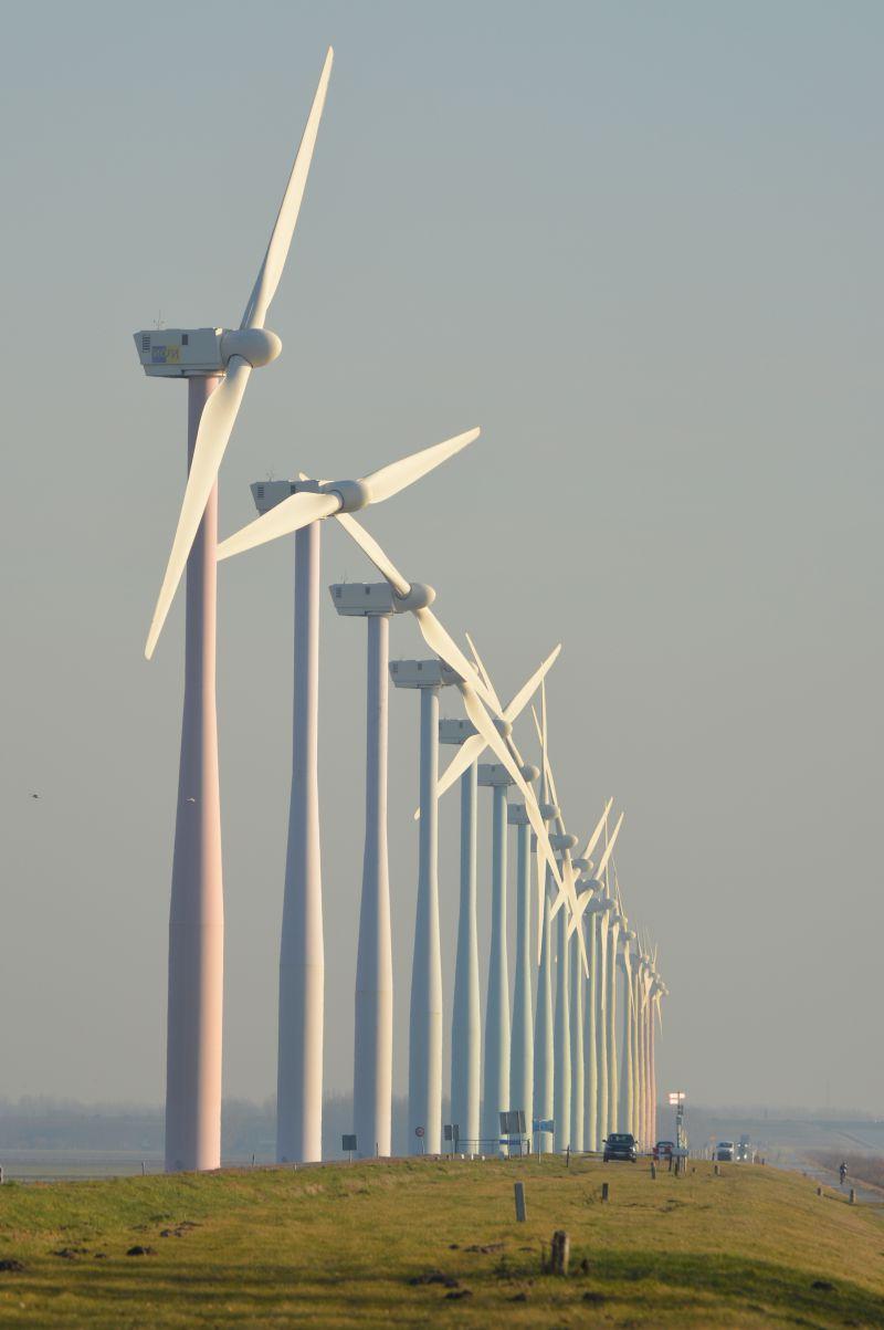 一排风力发电机