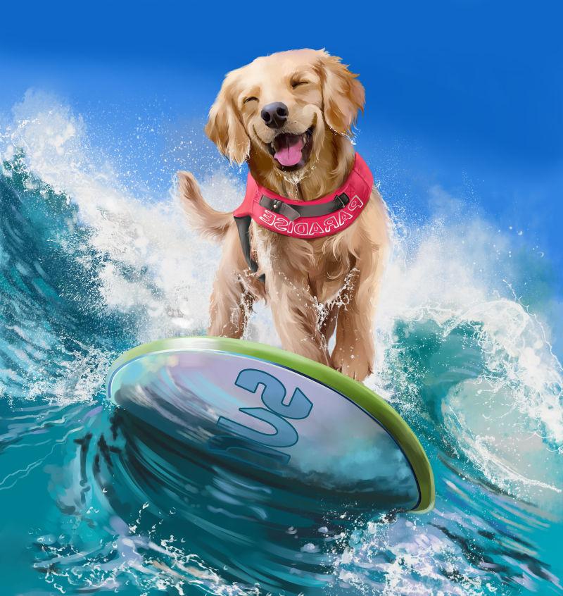 海洋里冲浪的可爱狗狗