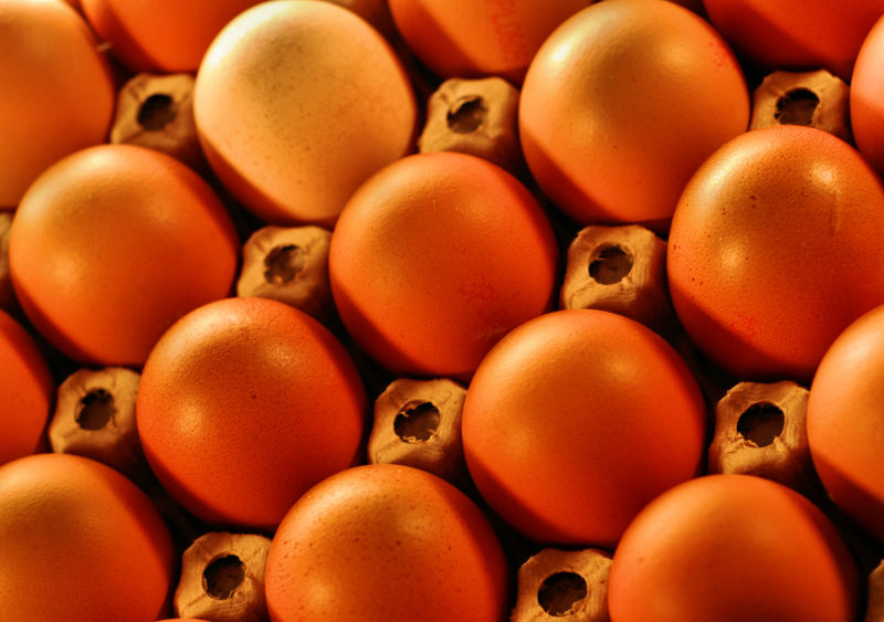 棕色的鸡蛋俯视特写