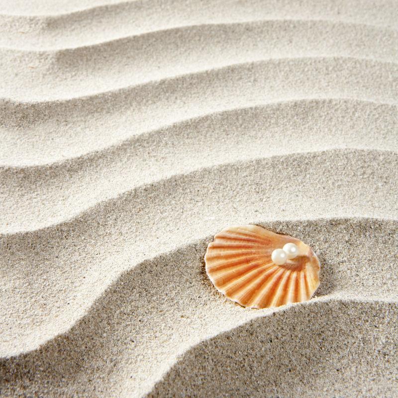 沙滩上贝壳上的白色珍珠