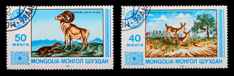 动物邮票
