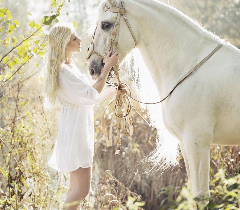 森林的白马与美女