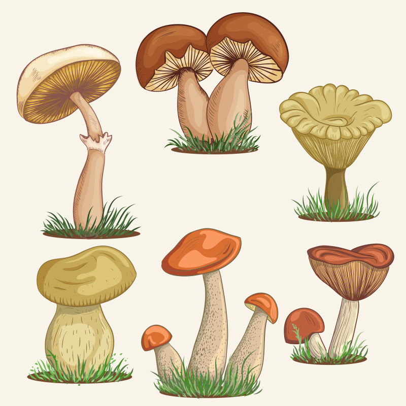 卡通的蘑菇丛矢量插图