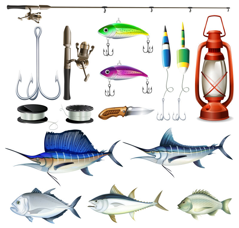 针对不同鱼类的渔具矢量插图