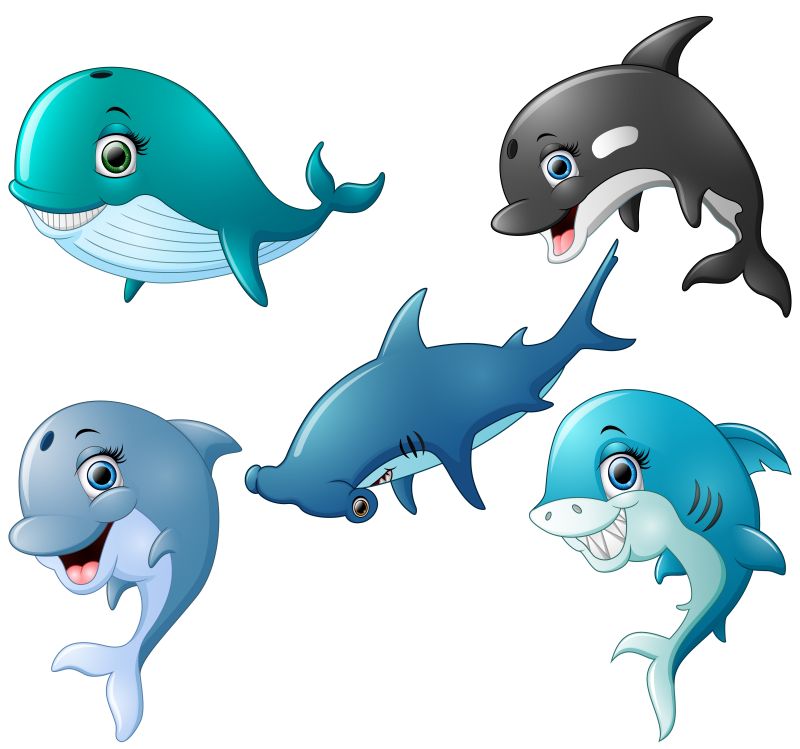 矢量可爱的卡通鲸鱼海豚和鲨鱼