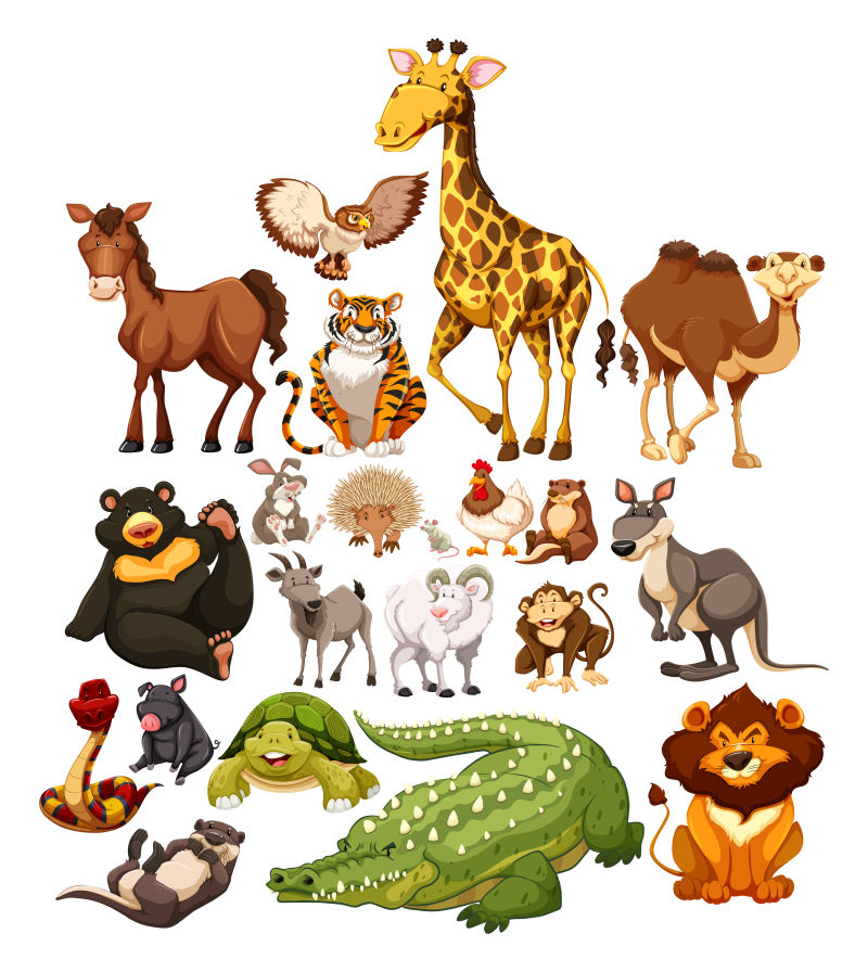 矢量卡通不同类型的野生动物