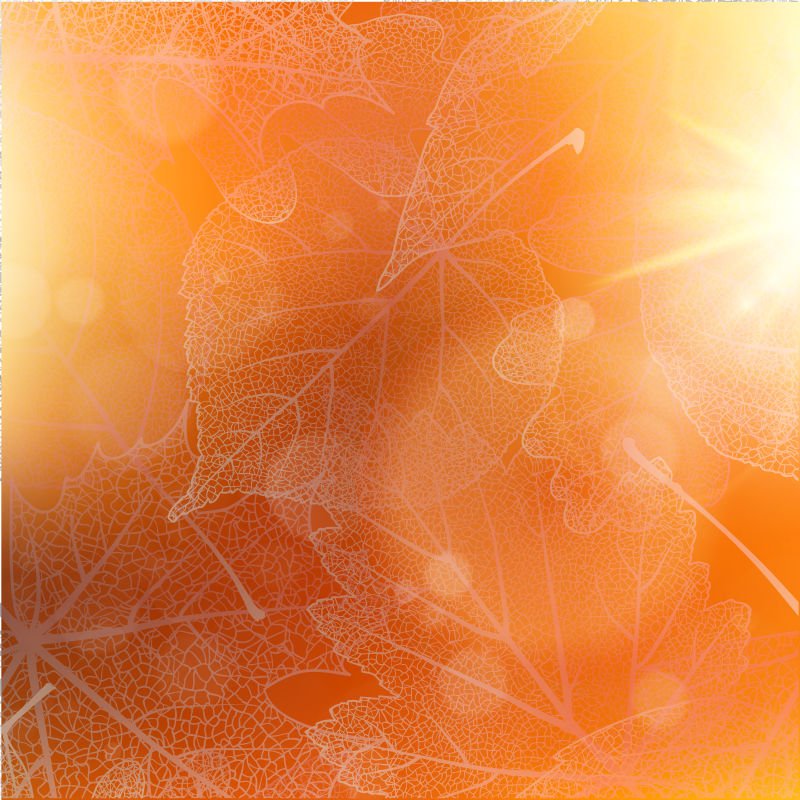橙色矢量秋季阳光下的叶片纹理背景