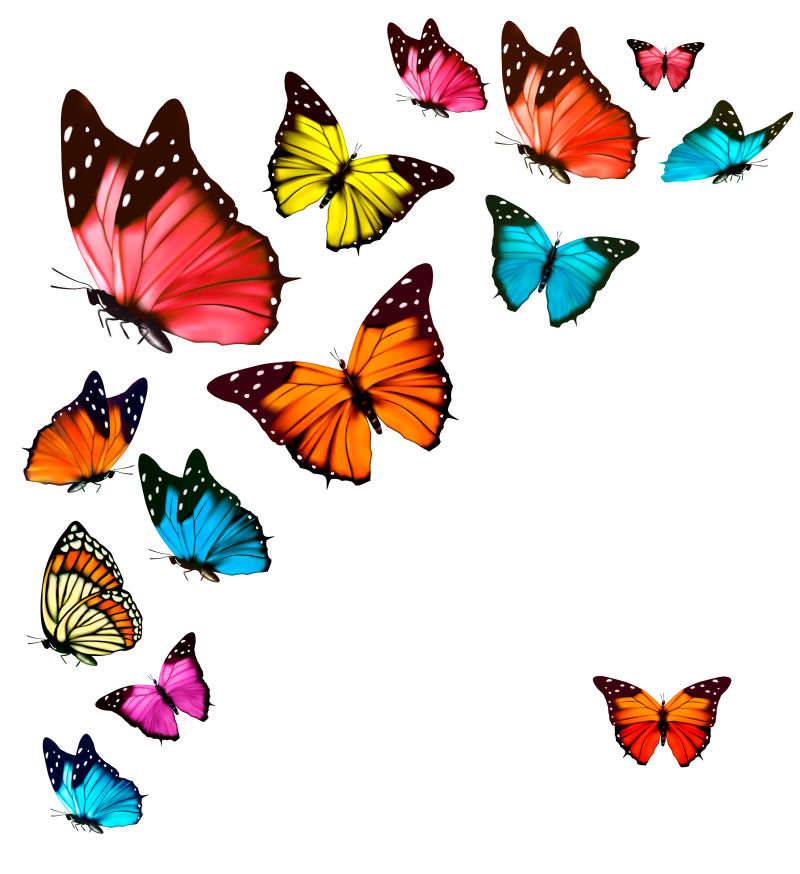 矢量卡通五彩的蝴蝶
