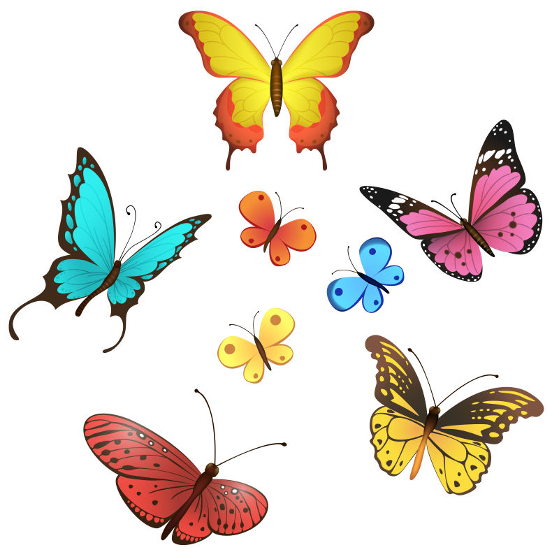创意矢量卡通彩色蝴蝶插图