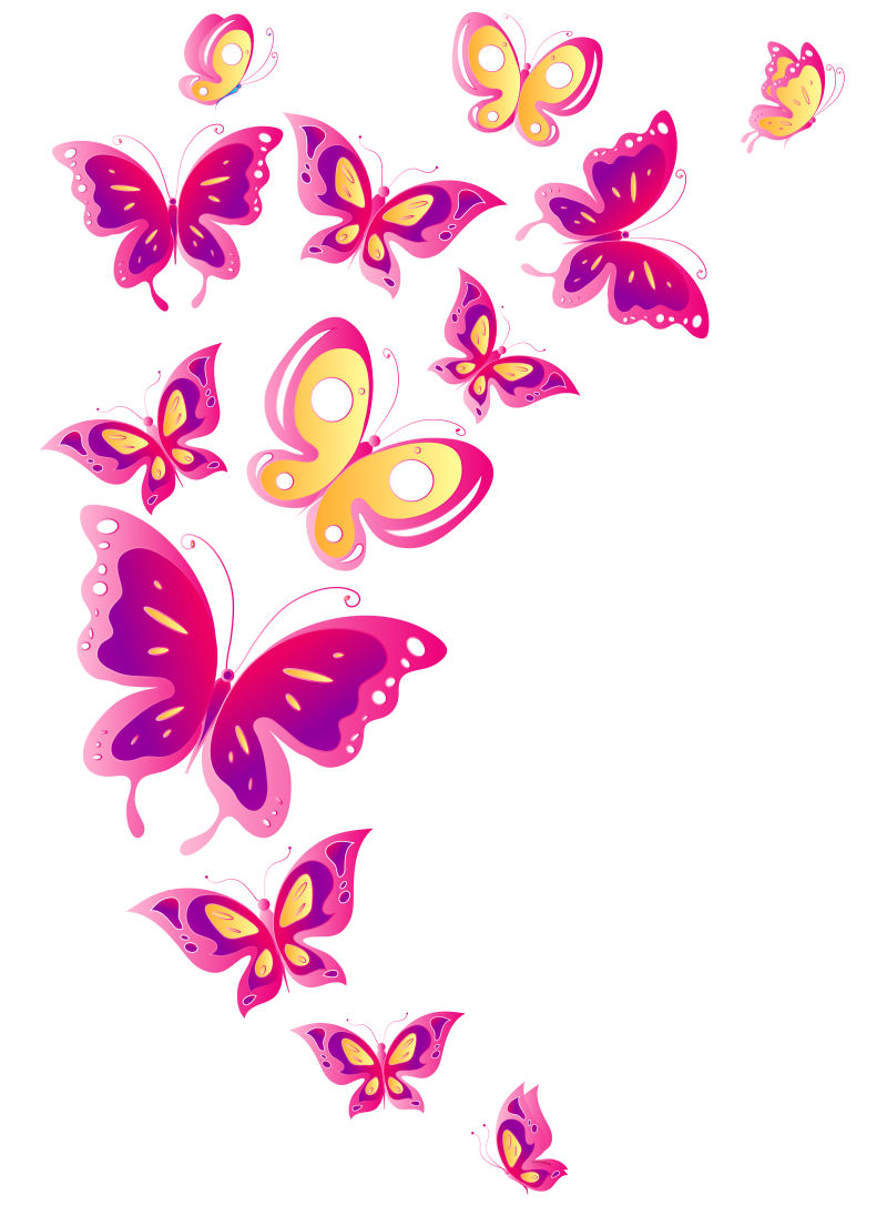 矢量卡通彩色蝴蝶插图