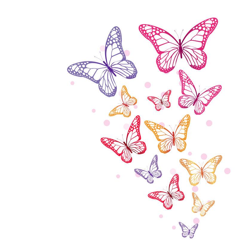 创意矢量彩色蝴蝶的插图