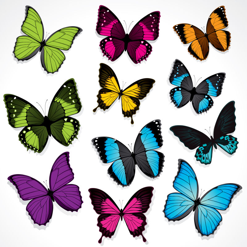 创意五彩的矢量蝴蝶