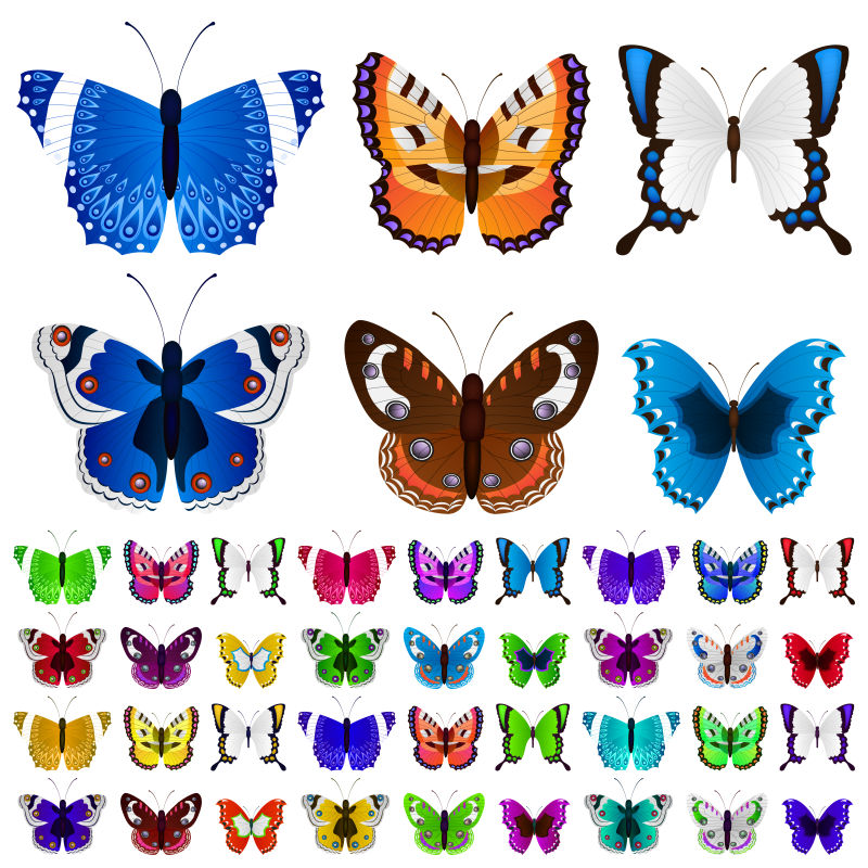 各种颜色和形状的蝴蝶矢量插图