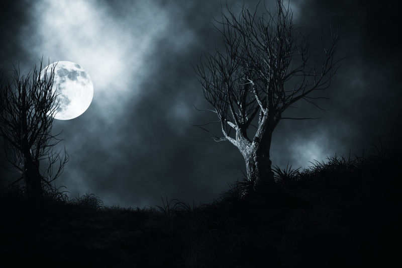 黑暗的丛林中看到了天空中闪耀的月光