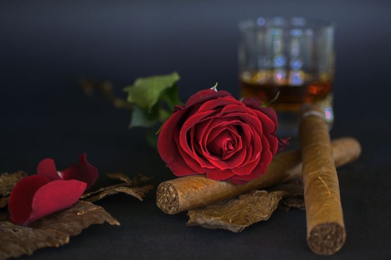 黑色背景中的红玫瑰和雪茄