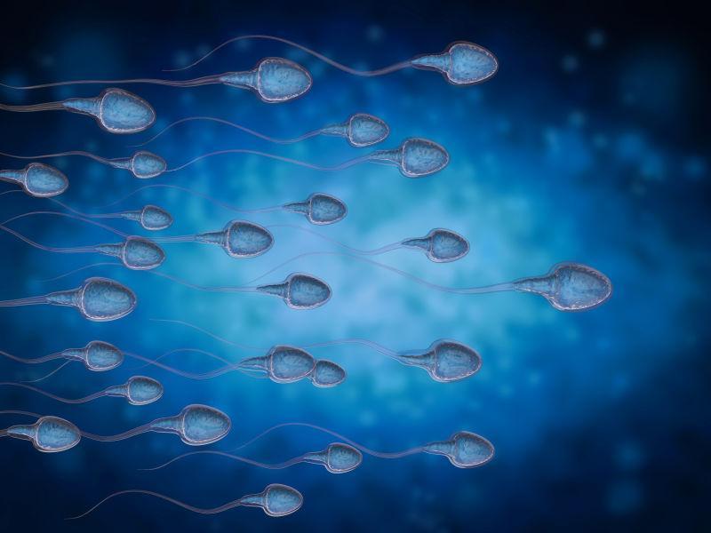 一群蓝色的精子细胞