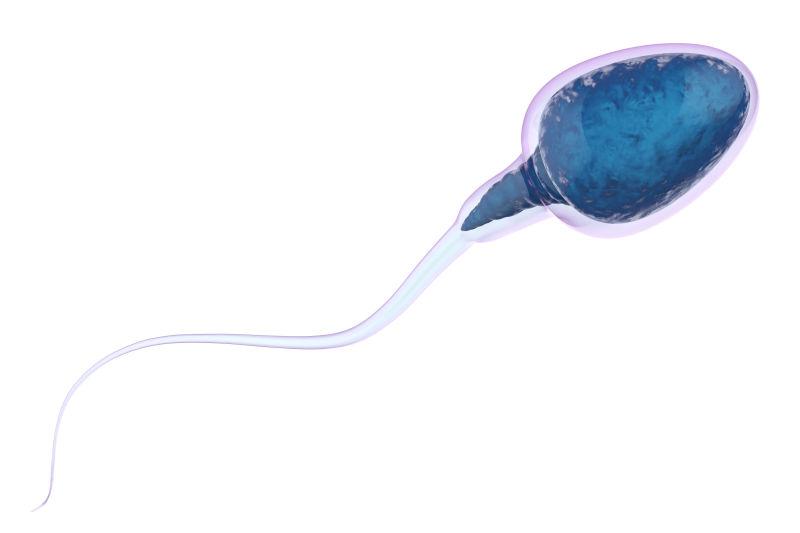 蓝色的精子图案