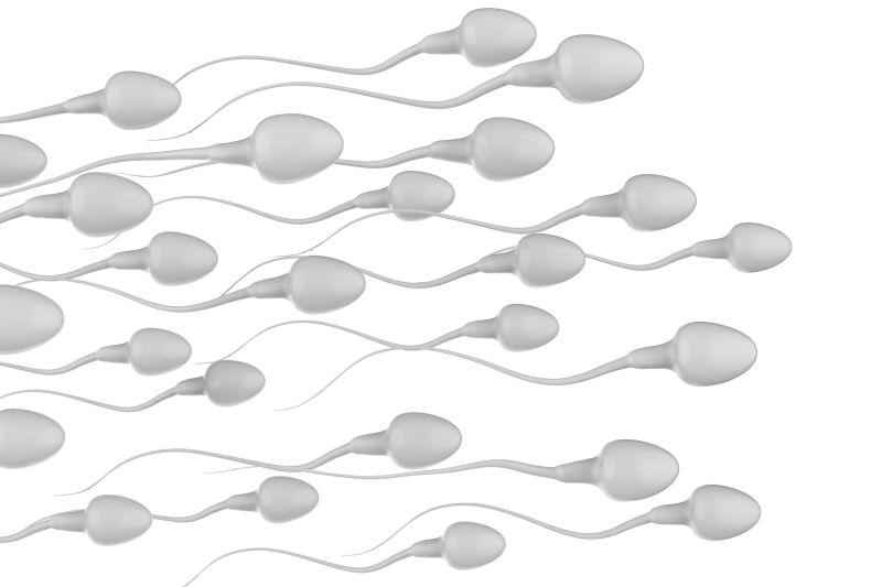 白色背景上的精子细胞群