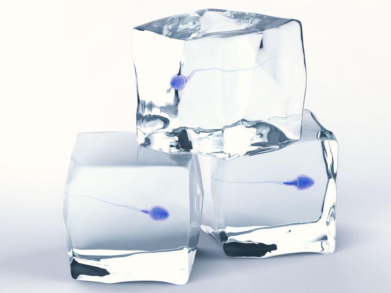三个冰块里冰封着蓝色的精子细胞