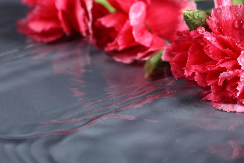 水面中漂亮的红花