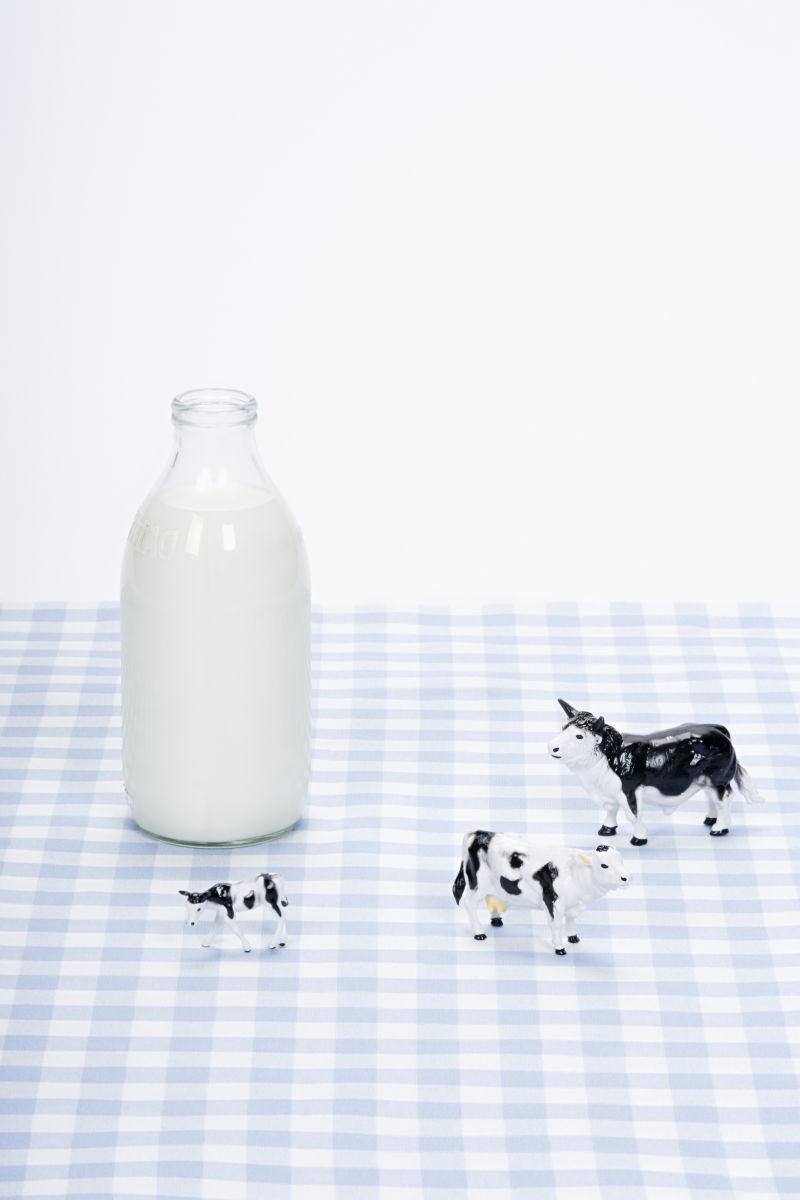 桌子上的牛奶瓶和三个可爱的奶牛模型