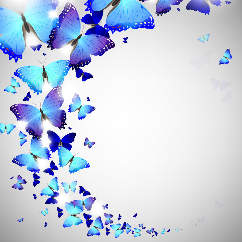 矢量美丽的蓝色蝴蝶
