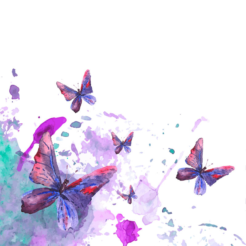水彩风格的矢量蝴蝶插图