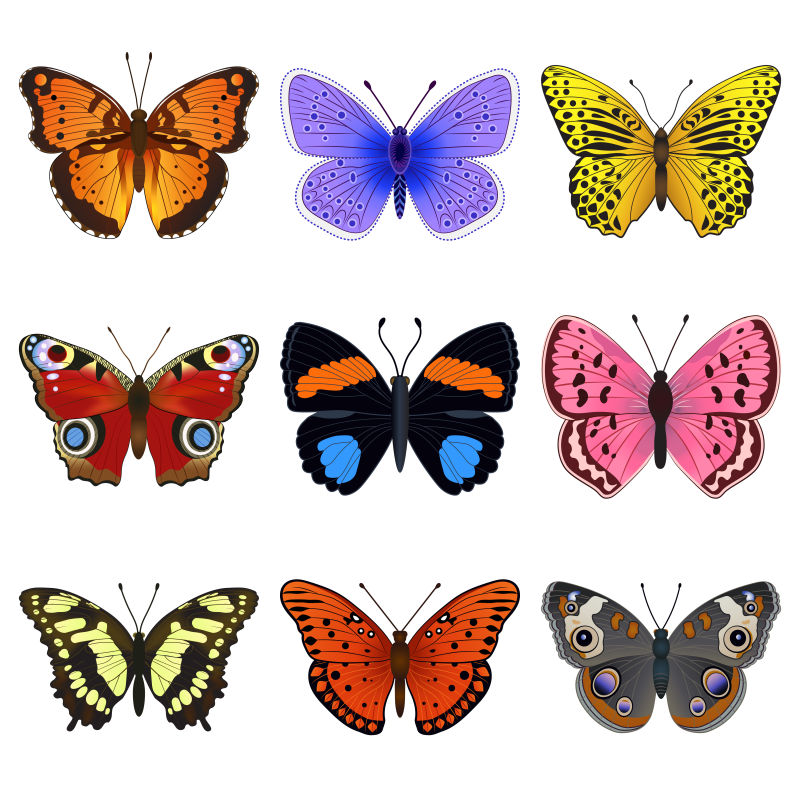 创意矢量不同种类的蝴蝶