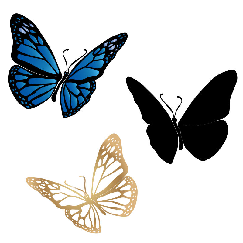 创意矢量简易的蝴蝶插图设计