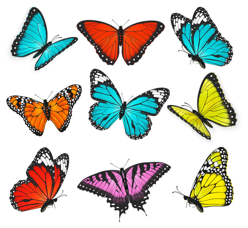 创意矢量彩色的卡通蝴蝶插图