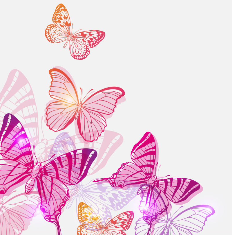矢量粉色蝴蝶插图