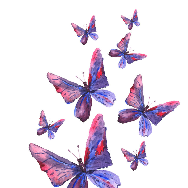 水彩风格的蝴蝶矢量插图