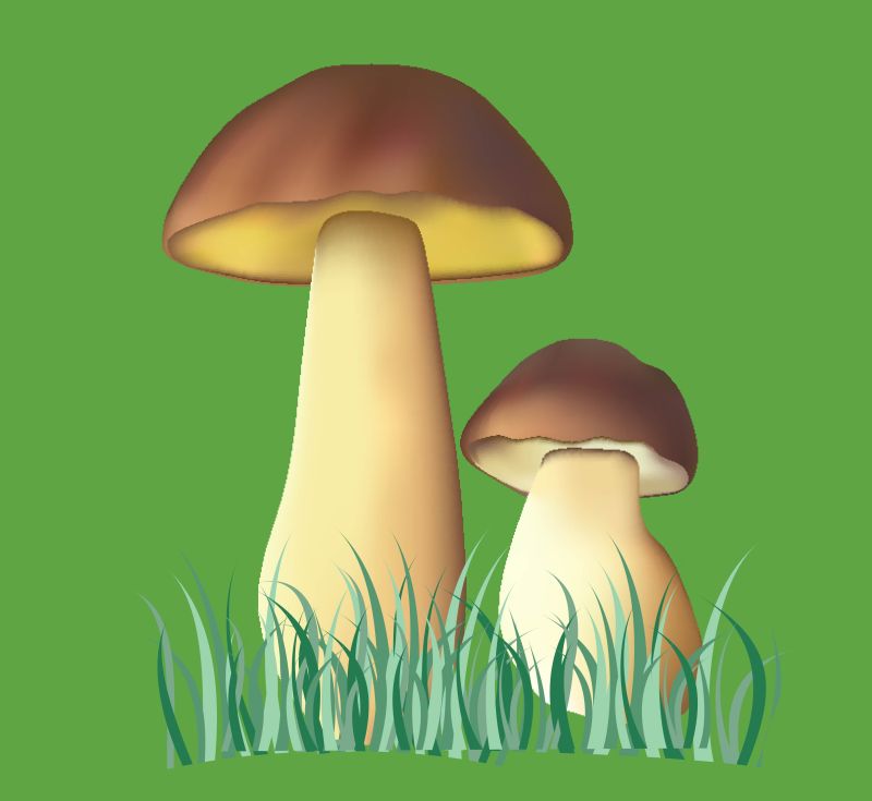 矢量的卡通蘑菇插图设计