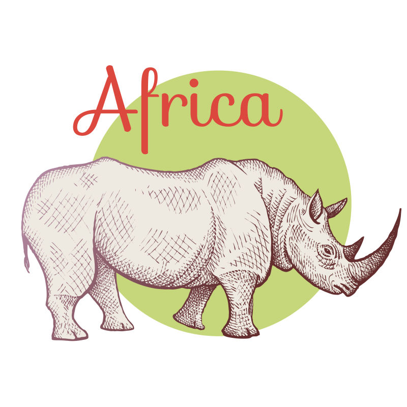 矢量非洲犀牛插图