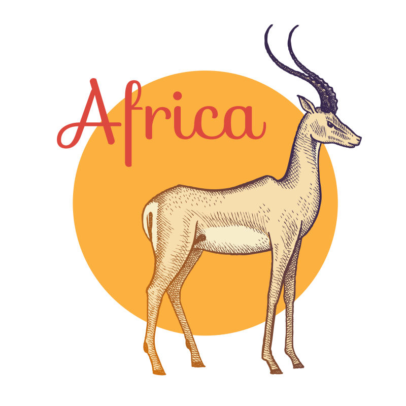 矢量非洲羚羊插图