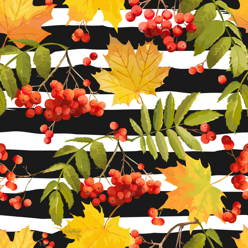 秋天的浆果图案矢量背景设计