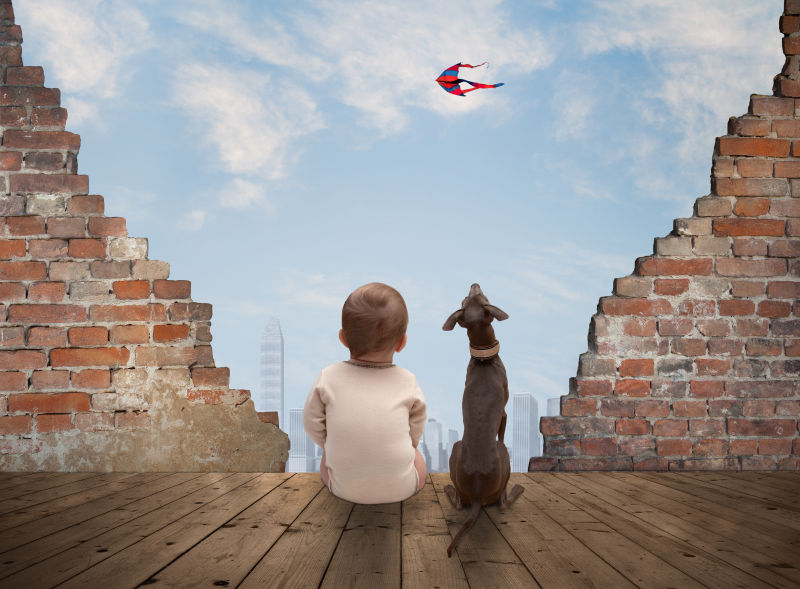 男孩和狗从古遗址看风筝